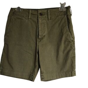 American Eagle Outfitters Next Level Stretch Green Chino Shorts Size 28